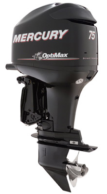 Mercury OptiMax 75 ELPT